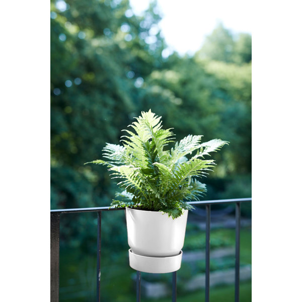 Elho Greenville Easy Hanger Single Balcony Flowerpot White Wayfair